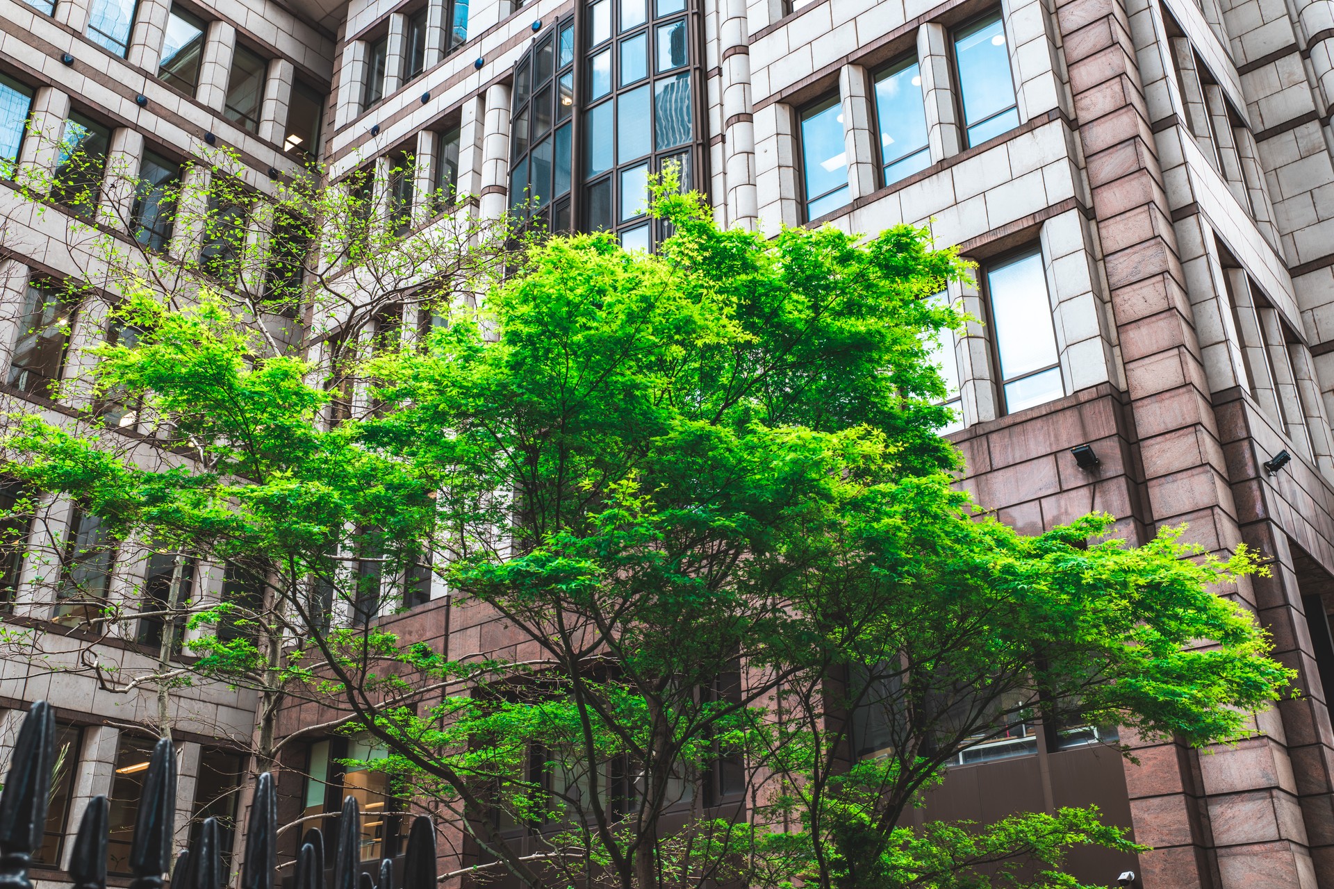 Business towers and Green leaves, London